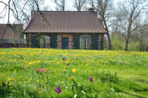 Remise unter dem Storchennest